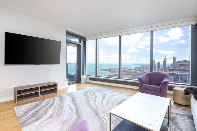 living room with a view of city, wood finished floors, and baseboards