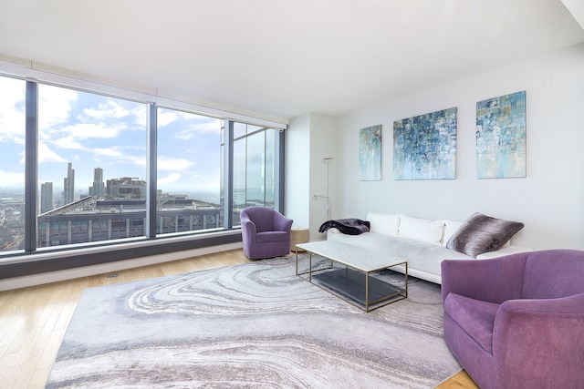 living area featuring a view of city and wood finished floors