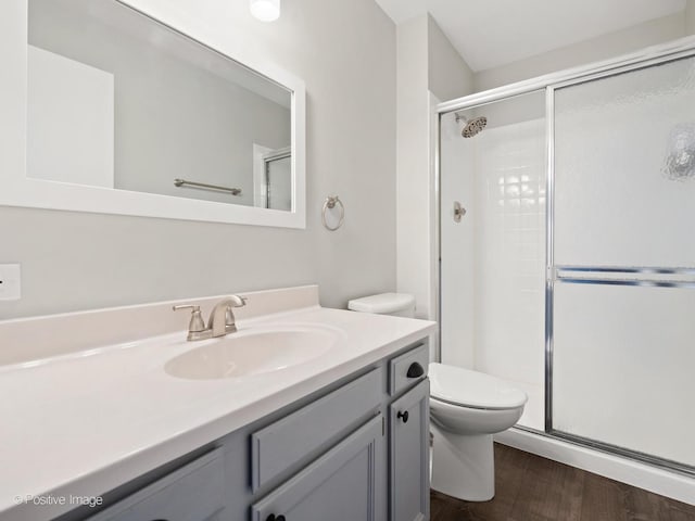 bathroom with vanity, toilet, wood finished floors, and a shower stall