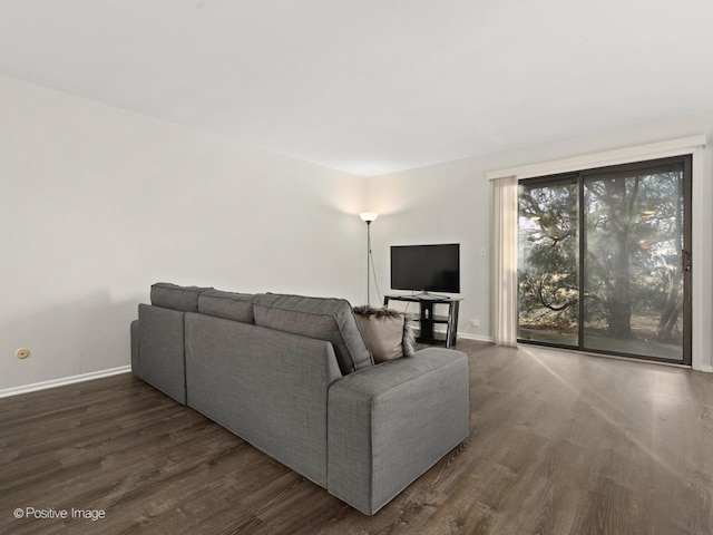 living area featuring dark wood-style floors and baseboards