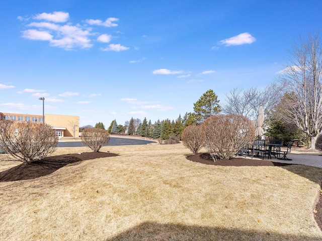 view of yard featuring a patio area