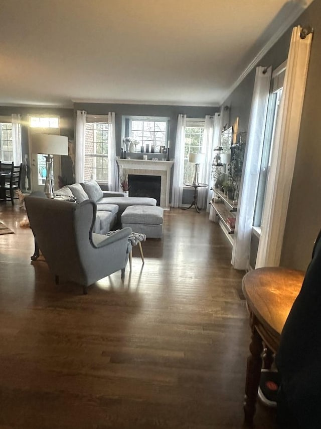 living room featuring a wealth of natural light, wood finished floors, a tiled fireplace, and crown molding