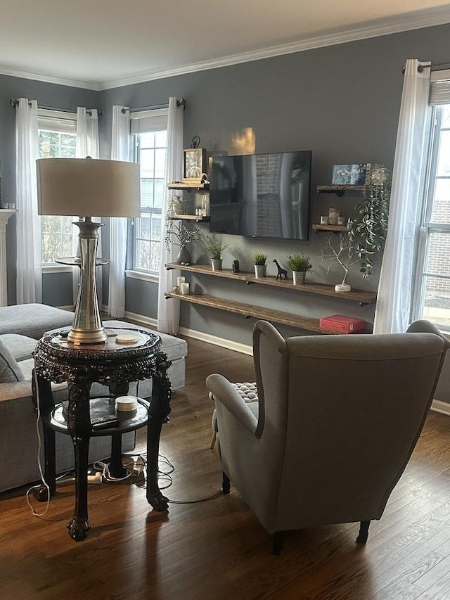 living area with wood finished floors and crown molding