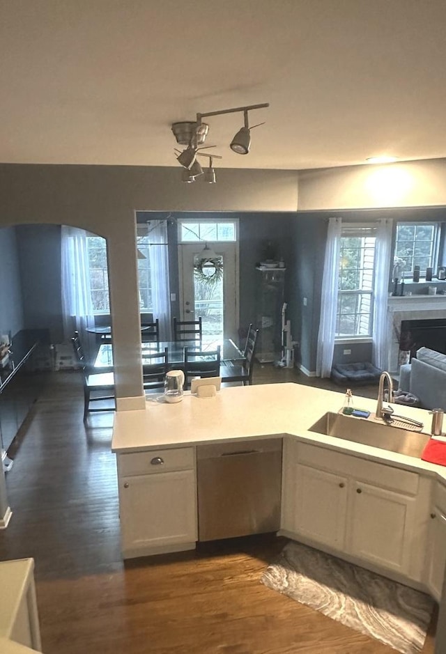 kitchen with dark wood-style floors, plenty of natural light, dishwasher, and a sink