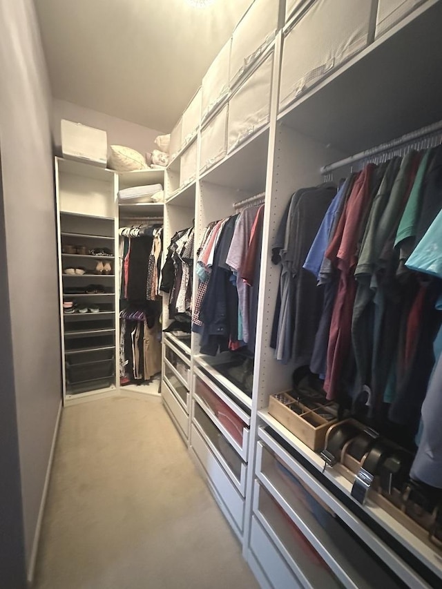 view of walk in closet