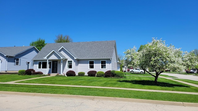 view of front facade featuring a front yard and roof with shingles