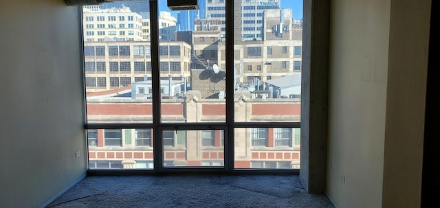 details with baseboards, a view of city, and carpet