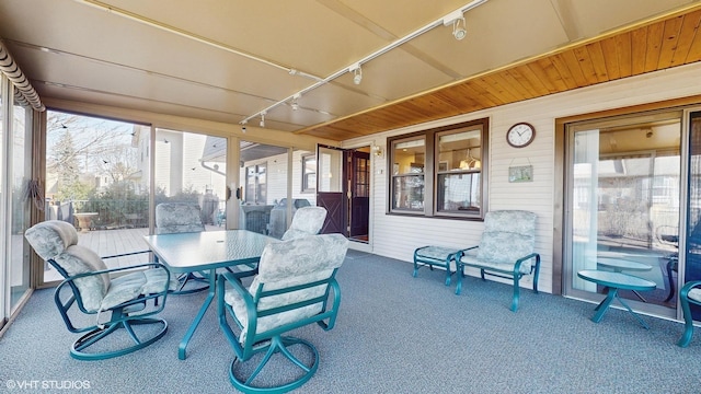 sunroom with track lighting