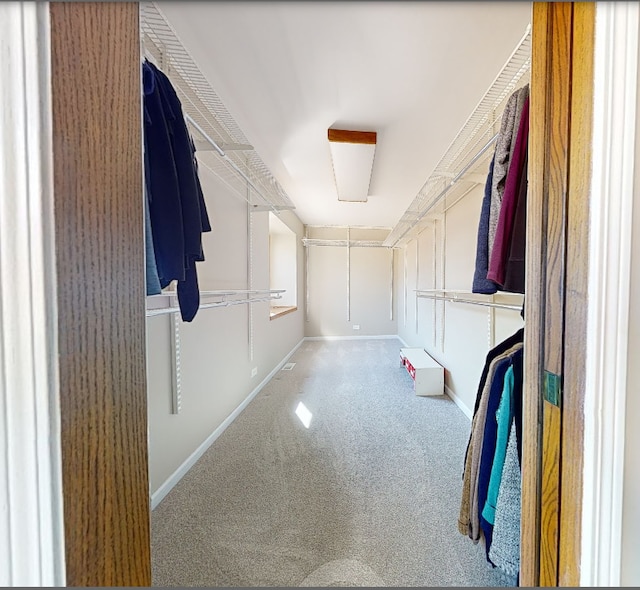 spacious closet with carpet floors