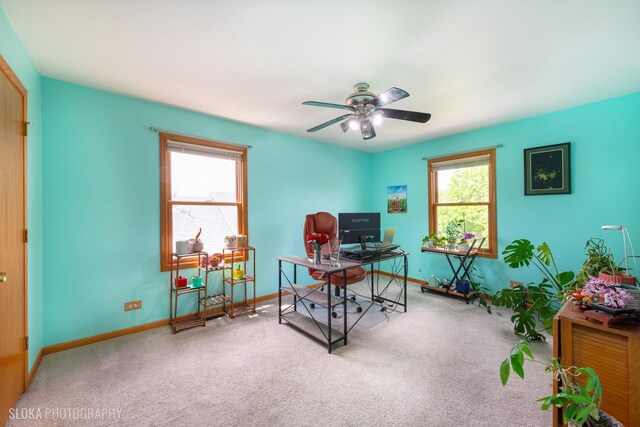 office area featuring carpet flooring, a ceiling fan, and baseboards