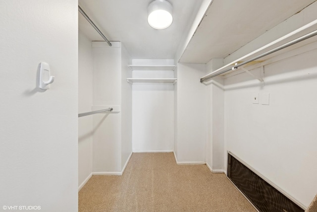 201 E Chestnut St Unit 14E, Chicago, IL 60611 - spacious closet with carpet flooring