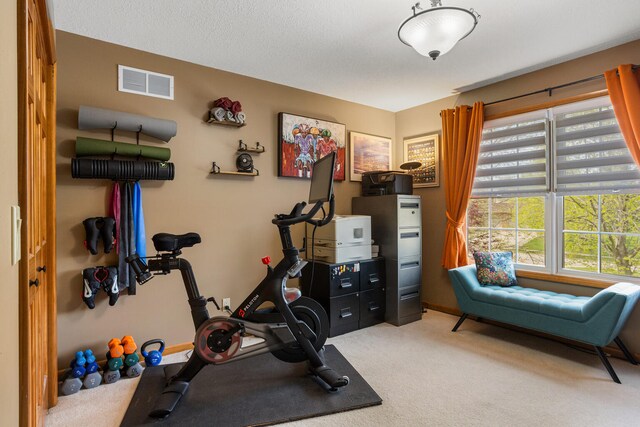 4201 Brittany Trail Dr, Champaign, IL 61822 - workout room with baseboards, visible vents, plenty of natural light, and carpet