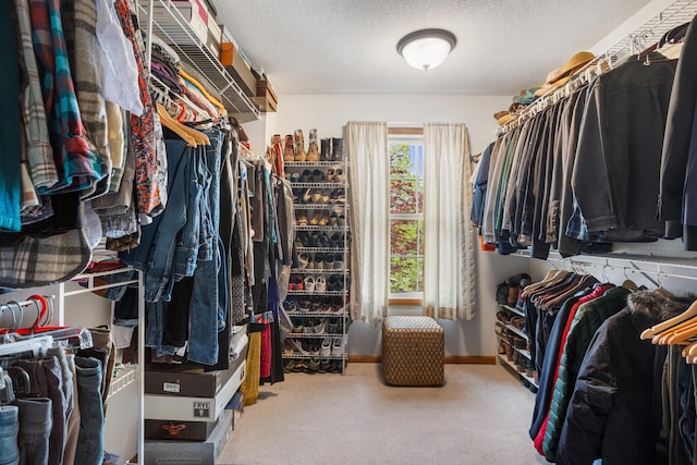 4201 Brittany Trail Dr, Champaign, IL 61822 - spacious closet with carpet