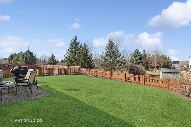 view of yard featuring a fenced backyard and a patio area