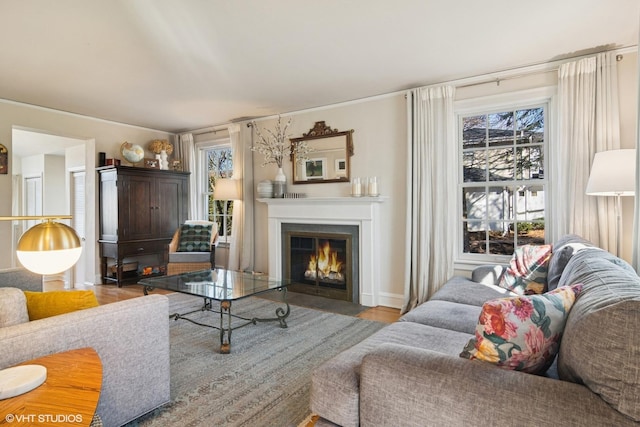 living room featuring a fireplace with flush hearth