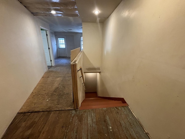 stairs with hardwood / wood-style flooring