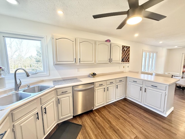 kitchen featuring a sink, a wealth of natural light, dishwasher, and dark wood finished floors