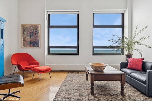 680 N Lake Shore Dr Unit 1602, Chicago, IL 60611 - living area with wood finished floors, plenty of natural light, and baseboards