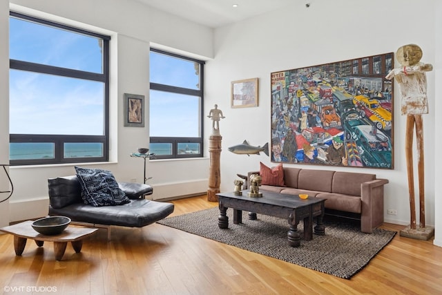 680 N Lake Shore Dr Unit 1602, Chicago, IL 60611 - living room with wood finished floors, healthy amount of natural light, and baseboards