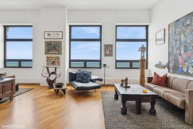 680 N Lake Shore Dr Unit 1602, Chicago, IL 60611 - living room with light wood-style floors and plenty of natural light