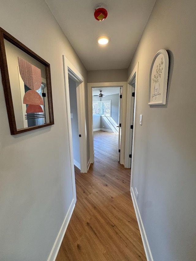 hall featuring baseboards and wood finished floors