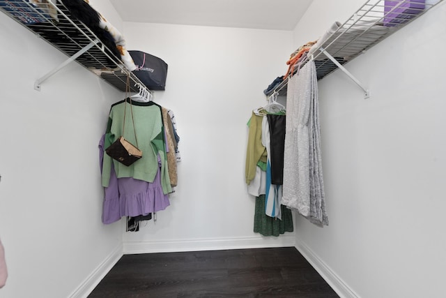 walk in closet with wood finished floors