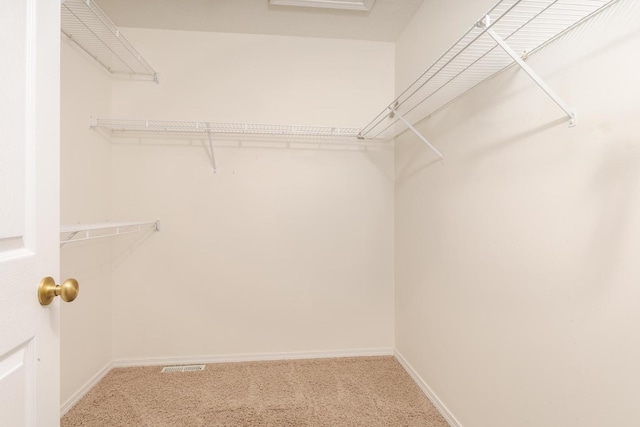 spacious closet featuring visible vents and carpet