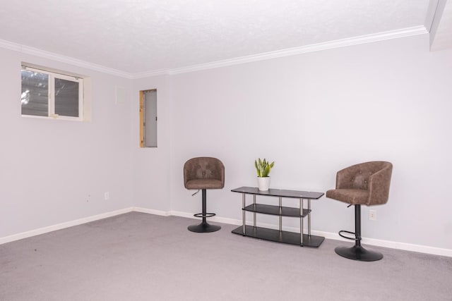 living area featuring baseboards, carpet, and ornamental molding