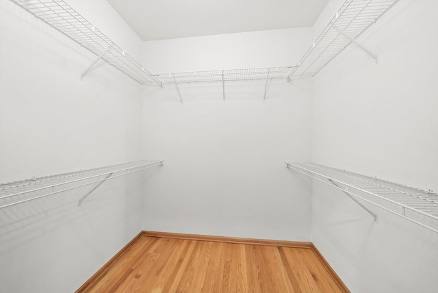 walk in closet featuring light wood-style floors