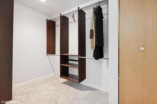 walk in closet with carpet flooring