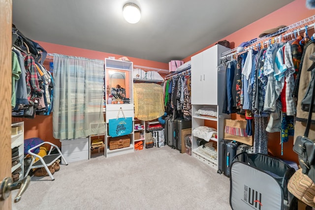 walk in closet with carpet