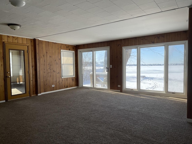 empty room featuring baseboards, wood walls, and carpet flooring