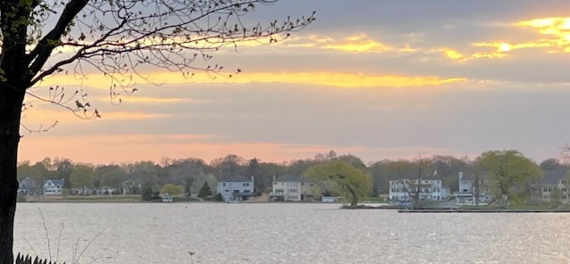 property view of water