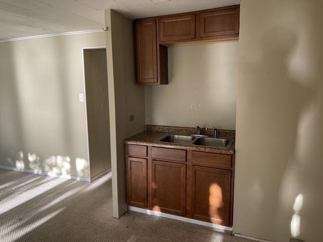 kitchen with carpet, crown molding, brown cabinetry, and a sink