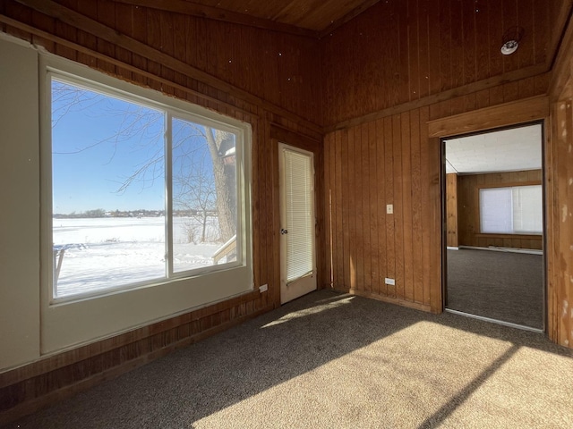 empty room with wooden ceiling, wooden walls, and carpet