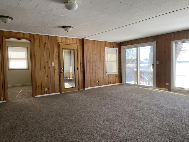 empty room featuring a wealth of natural light, baseboards, and carpet