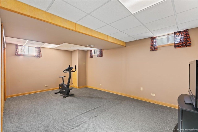 basement with a drop ceiling, baseboards, and carpet floors