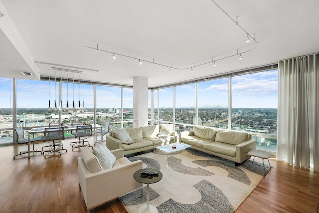 living room featuring floor to ceiling windows, a healthy amount of sunlight, and wood finished floors