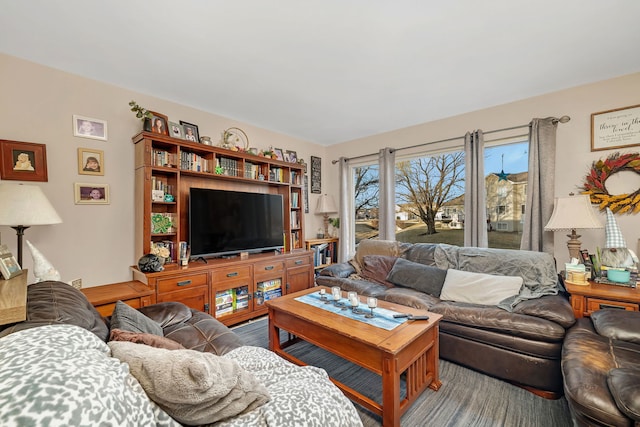 living room featuring wood finished floors