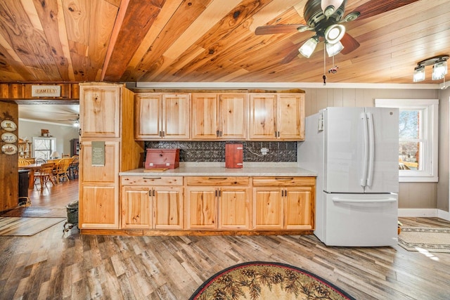 kitchen featuring a healthy amount of sunlight, light countertops, freestanding refrigerator, and a ceiling fan