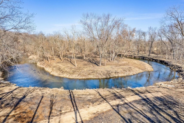 water view featuring a wooded view