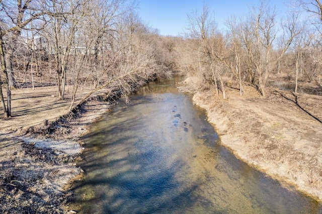 property view of water featuring a forest view