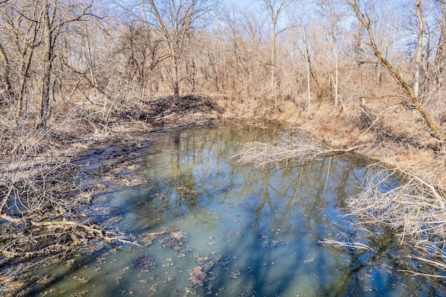 view of water feature