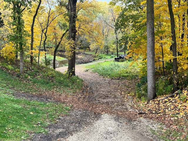 view of road featuring a wooded view