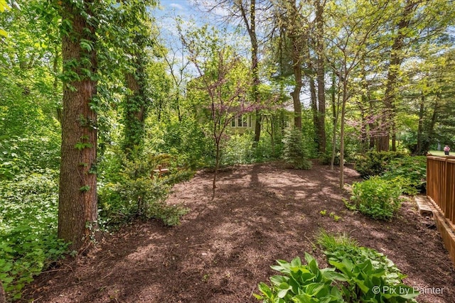 1023 Trillium Trl, West Chicago, IL 60185 - view of yard