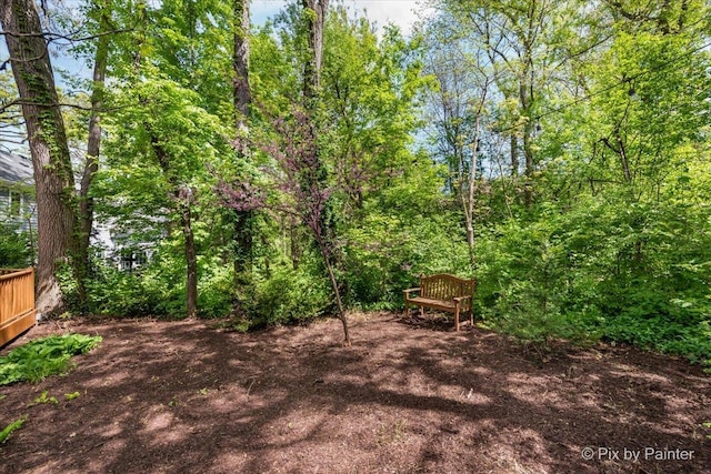 1023 Trillium Trl, West Chicago, IL 60185 - view of yard