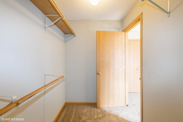 spacious closet featuring carpet