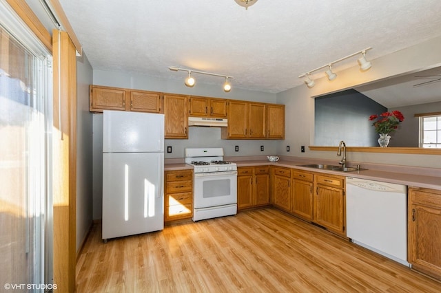 kitchen featuring light wood-type flooring, a sink, under cabinet range hood, white appliances, and light countertops