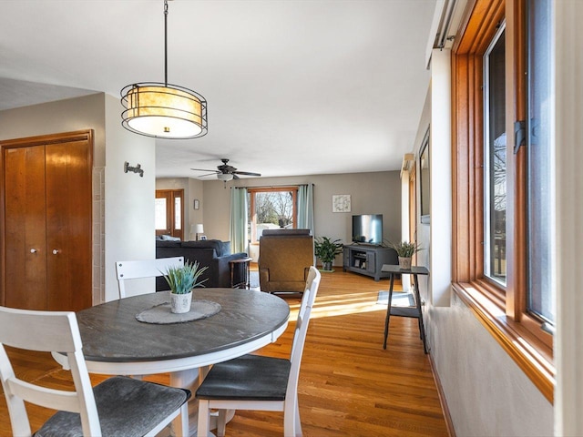 dining space featuring a ceiling fan and light wood-style floors