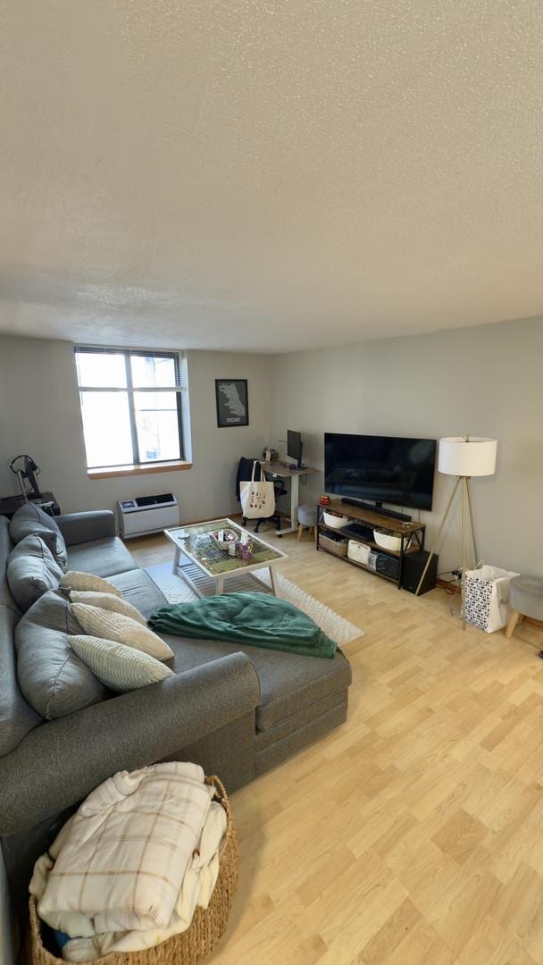 living area with wood finished floors and a textured ceiling